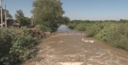 Demandan agua para riego en Navolato