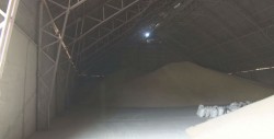 Solicitarán regionalizar presupuesto de comercialización