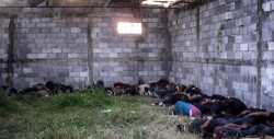 Capturan a involucrado en el asesinato de 72 migrantes en 2010