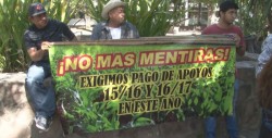 Toman productores delegación de SAGARPA