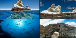 Archipiélago de Revillagigedo, esta es la nueva área natural protegida de México