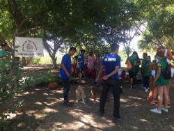 Buscan hogar para perros y gatos