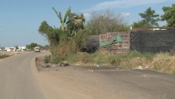 Piden servicios básicos en colonia "Líderes en Acción"