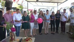 Impulsan consumo local en Lady Market