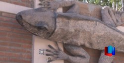 Realizan iguanas gigantes para promover el turismo