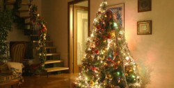 Protege a tus niños del árbol de Navidad: 3 consejos