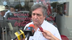500 hectáreas de maíz afectadas por hongo