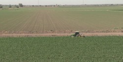 Dispersa créditos por mas de 8 mil mdp en Sinaloa