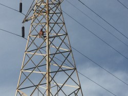 Hombre sube a torre de energía eléctrica, moviliza a cuerpos de auxilio