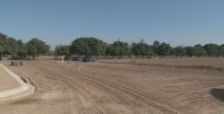 Destinarán 20 mdp para seguridad alimentaria en 2018