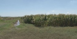 Sin gestiones del gobernador para pagos a productores