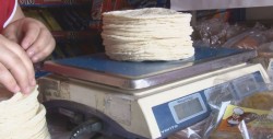 SE no ha recibido estudios por incremento a la tortilla
