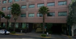 Asesinan a modelo argentina en hotel de CdMx