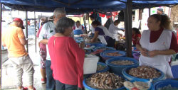 Incrementa la venta de camarón