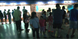 Se cumplen metas en Acuario Mazatlán