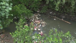 Basura y aguas estancadas