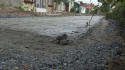 Esperaron por años la pavimentación