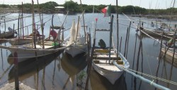 Pescadores pediran ser incluidos en los proyectos de campaña