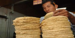Prevén aumento en el precio de la tortilla
