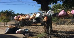 Colocan bolsas de basura en cerca de alambre