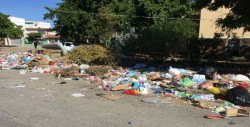 Siguen sin limpiar área verde en Humaya