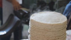 No hay fundamento para elevar el precio del kilo de tortilla