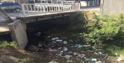 Denuncian proliferación de moscos en la CNOP