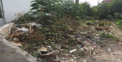 Piden limpieza de lote baldío