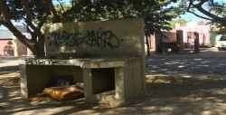 En abandono área verde en Rincón del Parque