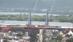 Estibadores inician el año con mucho trabajo
