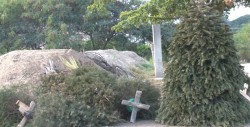 Centro de acopio en espera de pinos