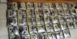 MARINA decomisa más de 900 mil dólares