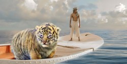 #Fotos Convierten en memes a cachorro de tigre obeso