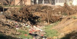 Con mucha basura un angosto arroyo en la San Juan