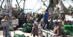 Alrededor de 400 barcos pesqueros sin zarpar