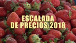 ¿A usted le alcanza lo que gana?: Escalada de Precios