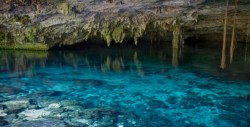 Descubre en Tulum la cueva inundada más grande del mundo