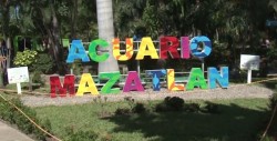 Invitan a las escuelas de Mazatlán  que conozcan el acuario