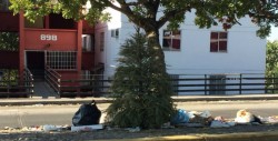 Basura, pinos navideños y hasta muebles viejos en Cañadas