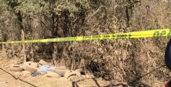 En avanzado estado de descomposición, encuentran el cuerpo de un hombre