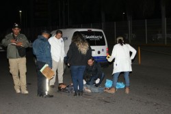 Lo matan con arma blanca
