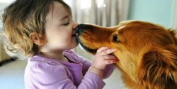 ¿Besas a tu perro? ¡Esto te puede pasar si lo sigues haciendo!