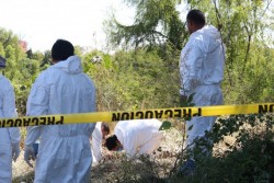Detienen a presunto feminicida