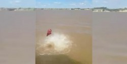#Video ¡No creerás lo que se devoran estos peces carnívoros!