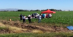 Fallece piloto al perder el control de avioneta