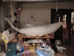 Elaborarán ballena de 6 metros