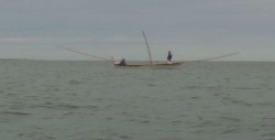 Declaran veda temporal por marea roja en la Bahía de Altata Ensenada Pabellones