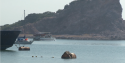 Se registran apenas 4 viajes por catamarán a la semana
