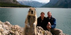 Animales que dejaron fotos épicas