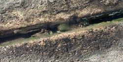 Se registra fuga de agua en Colinas de San Miguel